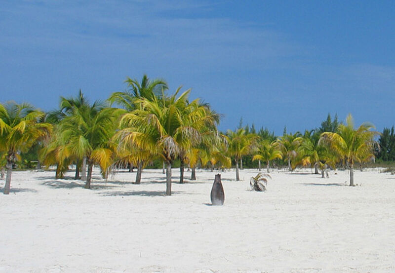 Die Urlaubsgebiete im Süden sind intakt: Auch Cayo Largo kann ohne Probleme bereist werden