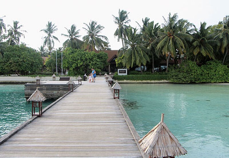 Schon seit 13 Jahren arbeitet Ali ...