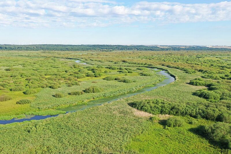 Luftaufnahme einer grünen Landschaft mit einem gewundenen Fluss. 