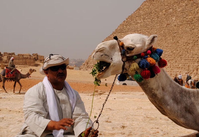 Rund um die Pyramiden in Kairo herrscht nach wie vor touristische Funkstille