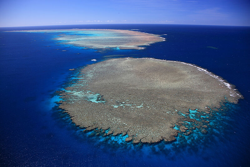Dank eines relativ kühlen Sommers zeigen die Korallenbänke am Great Barrier Reef Anzeichen von Erholung
