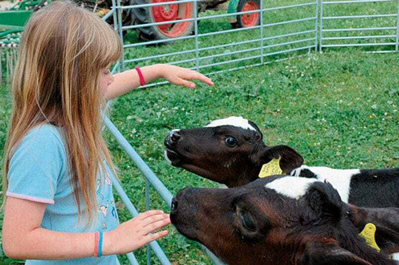 Jede Menge Streicheltiere auf dem Bauernhof der Familie Rauscher