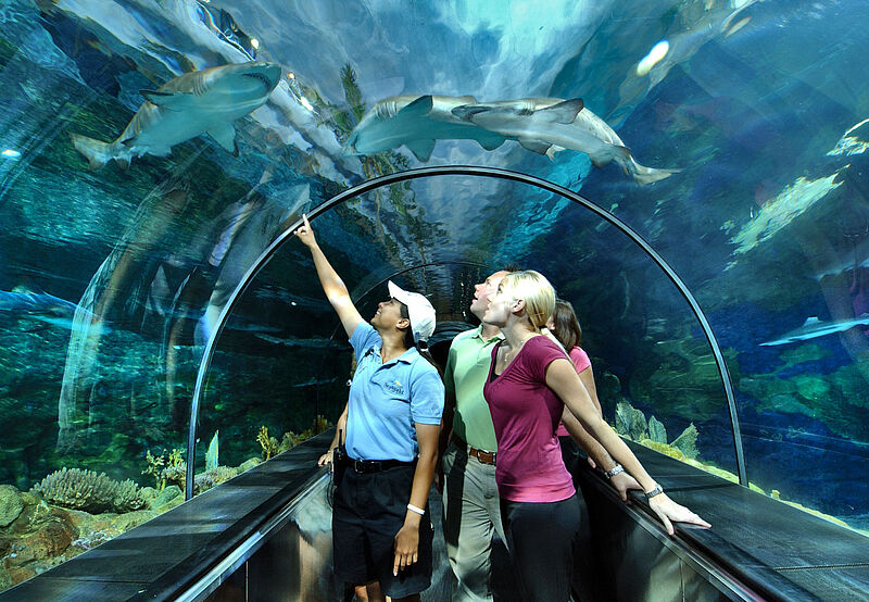 Sea World in San Diego: Vor 60 Jahren wurde hier der erste Freizeitpark eröffnet. Foto: Sea World