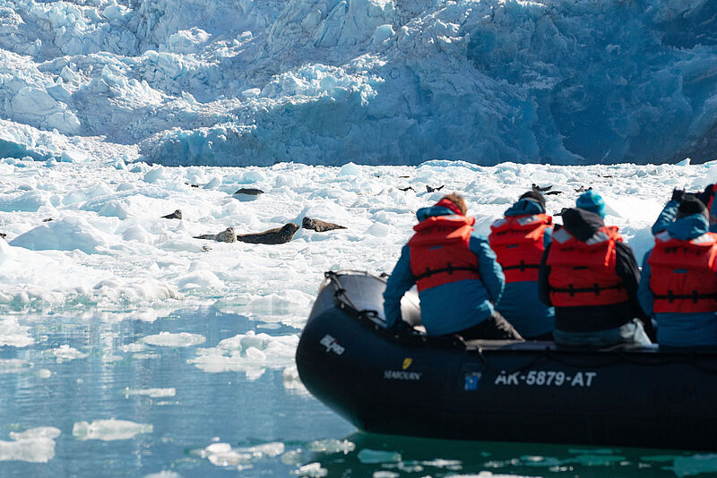 Ein festes Schlauchboot mit Teilnehmern einer Expeditionskreuzfahrt liegt in Alaska vor einem Gletscher. Die Gruppe ist der Kamera abgewandt. 