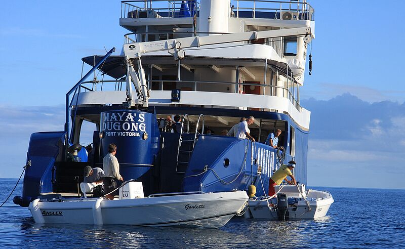 Spannende Reise: Die Maya’s Dugong fährt 2023 zu den Aldabra-Inseln