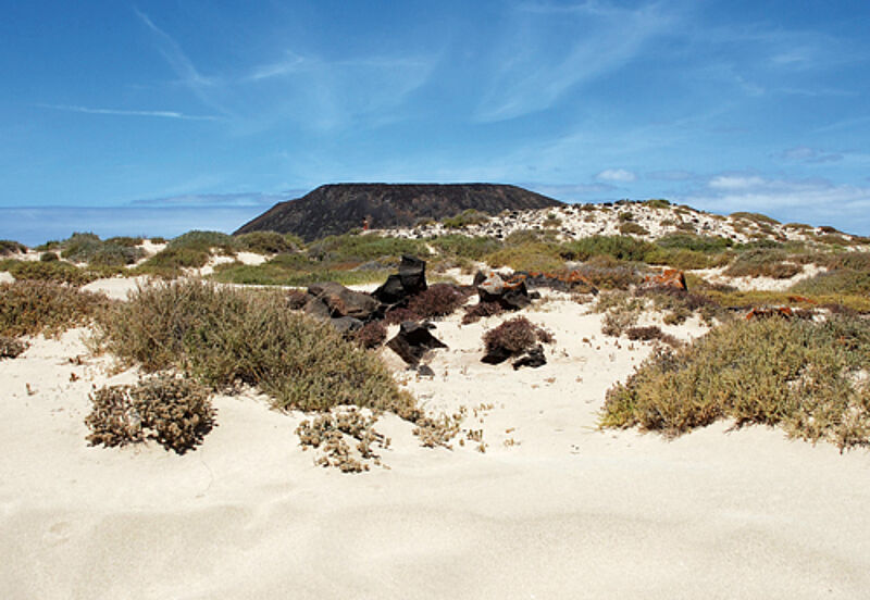 In gut zwei Stunden kann der Urlauber einmal um Lobos wandern. Foto: cd