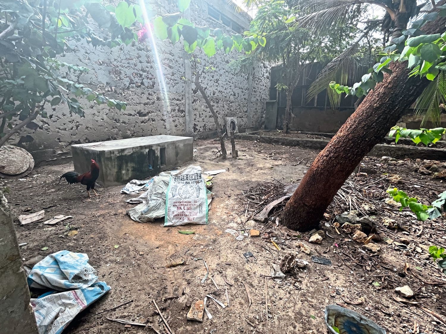 Auf Sansibar wird Müll oft achtlos entsorgt