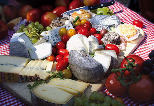 Provenzalisches Picknick mit Kulinaria aus der Region, zubereitet von den Reiseleitern. Fotos: jw
