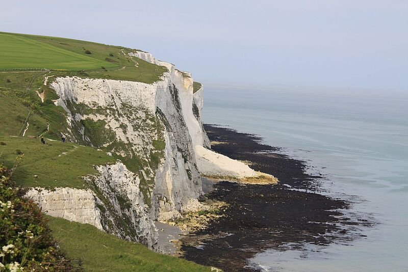 Die weißen Klippen von Dover ragen steil aus dem Meer auf. Die beeindruckenden Kalksteinfelsen sind von grünem Gras bedeckt, und ein Wanderweg schlängelt sich entlang der Klippenkante. Unten trifft das dunkle, mit Algen bedeckte Ufer auf das ruhige, bläuliche Meer. Einige Spaziergänger sind auf dem Weg entlang der Klippen zu sehen.