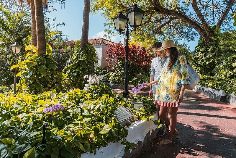 Ein Paar betrachtet Orchidee im tropischen Garten des Jardin Tecina auf La Gomera