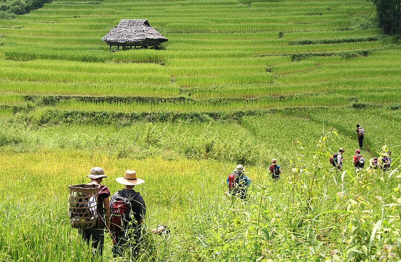 Deutsche Touristen können Thailand, wie hier während eines Trekking-Trips den Norden des Landes, jetzt bis zu 60 Tage am Stück erkunden