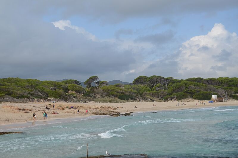 Die Cala Agullo in Cala Ratjada
