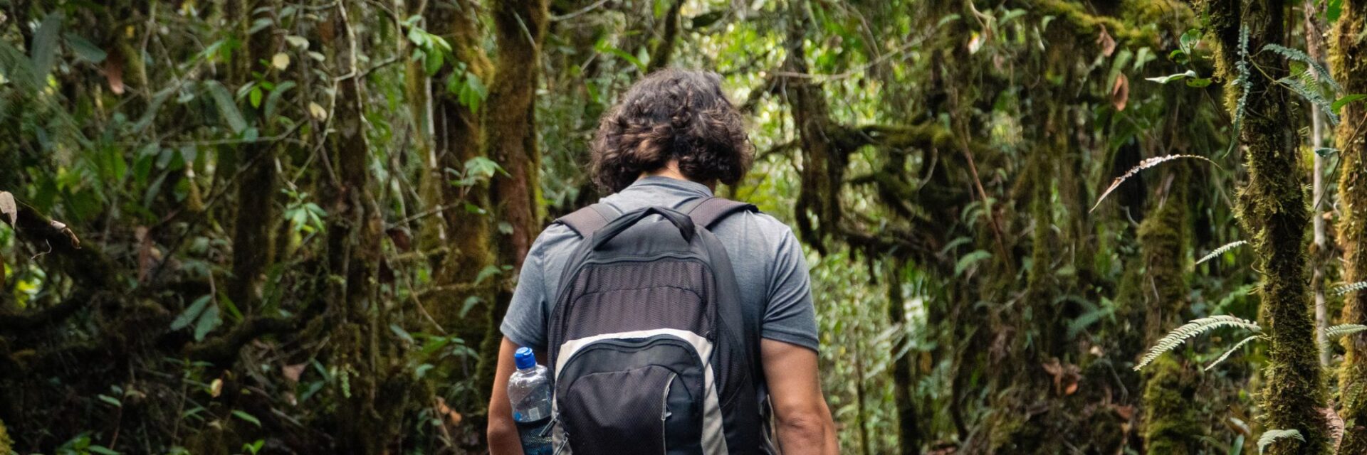 Rückansicht eines Mannes mit einem Rucksack auf dem Rücken, der durch einen Urwald wandert.