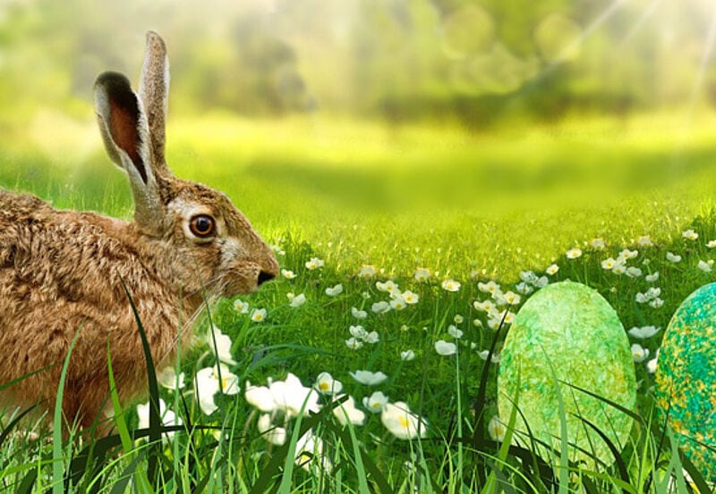 Das spätere Osterfest beflügelte den Buchungseingang im März – aber es wurde auch mehr gereist