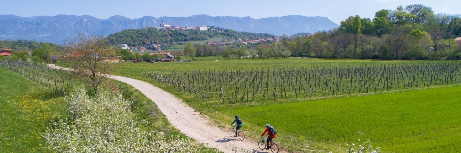 Zwei Radfahrer auf einem Feldweg durch grüne Weinberge und Wiesen, im Hintergrund ein slowenisches Dorf und eine hügelige Berglandschaft – Symbolbild für sanften Tourismus und Naturerlebnis in Slowenien.