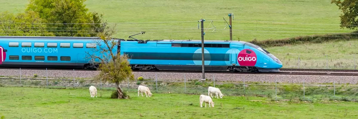 Ein blauer Ouigo-Schnellzug fährt durch eine grüne ländliche Landschaft in Frankreich, während mehrere Kühe auf der Wiese grasen; das Bild illustriert nachhaltigen Bahnverkehr und Zugreisen mit Ouigo.