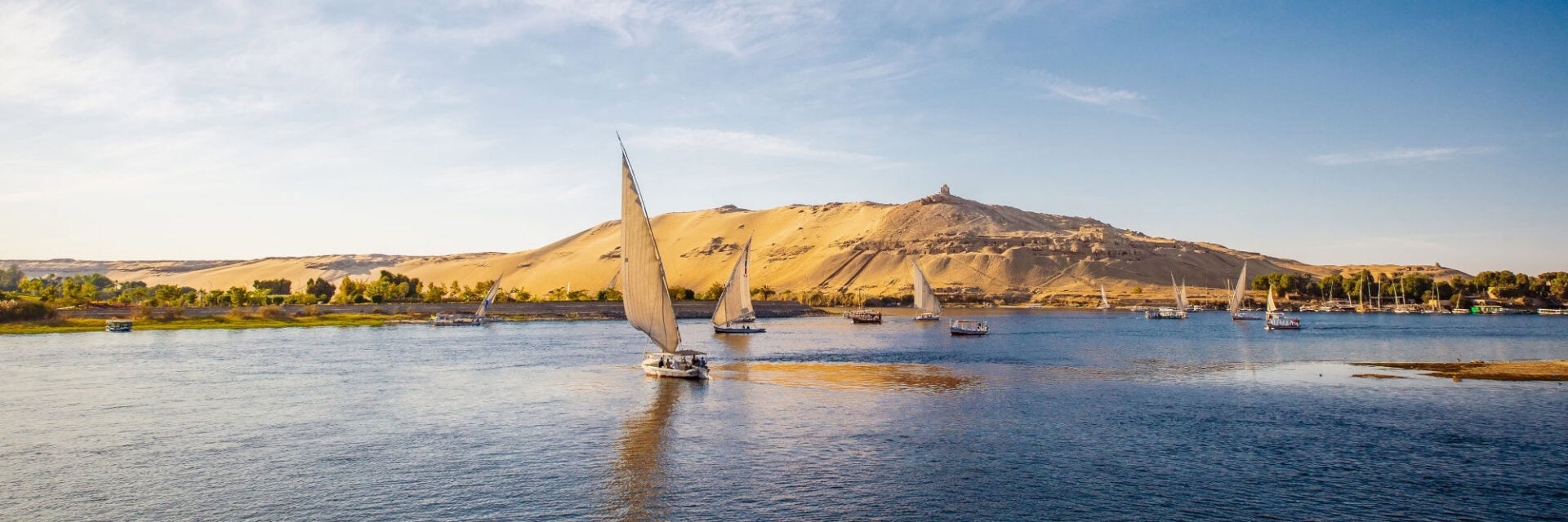 Mehrere traditionelle Segelboote gleiten über den Nil in Ägypten, während im Hintergrund goldene Sanddünen und grüne Palmen das Ufer säumen. Die Szene zeigt den Fluss Nil als Lebensader Ägyptens sowie typische Feluken-Boote vor einer beeindruckenden Wüstenlandschaft.