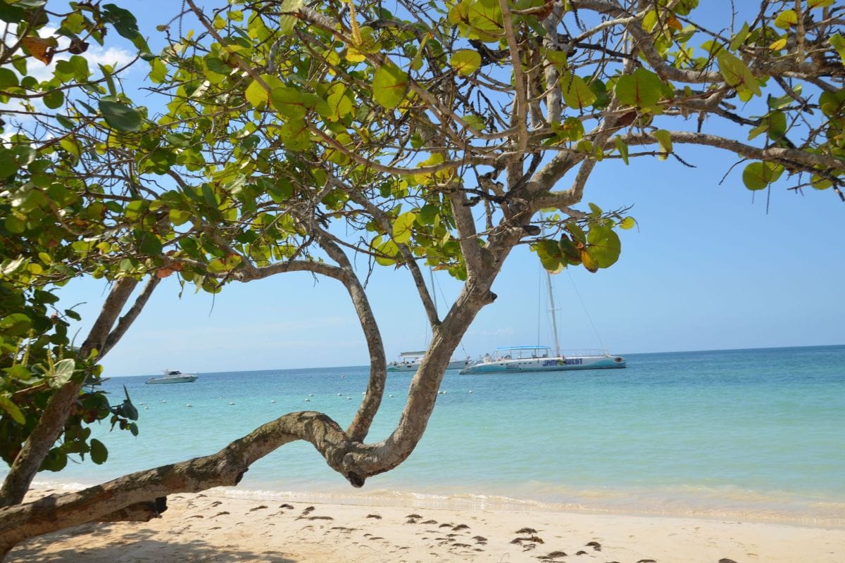 Ein malerischer Sandstrand auf Jamaika mit kristallklarem Meer, schattenspendendem Baum im Vordergrund und zwei Segelbooten auf dem Wasser.