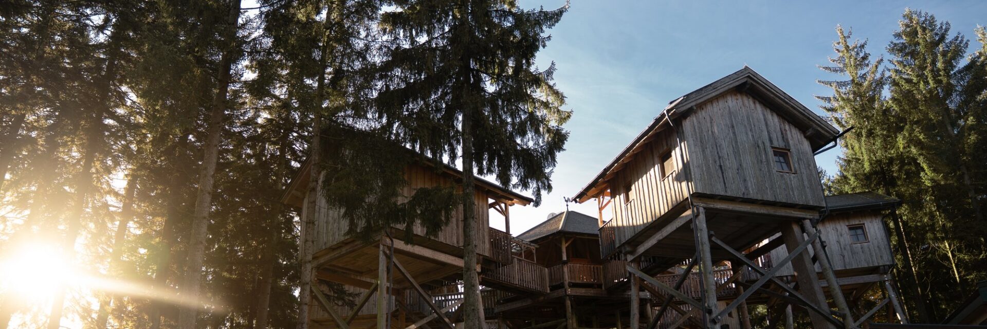 Mehrere hölzerne Baumhäuser auf Stelzen in einem Wald, verbunden durch Stege, Sonnenlicht fällt durch die Bäume