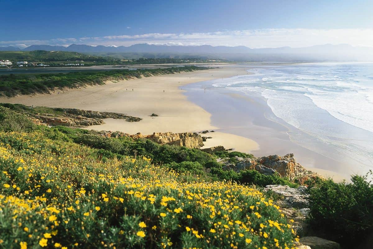 Blick auf einen weitläufigen Strand mit sanften Wellen, umgeben von grünen Hügeln und bunten Blumen im Vordergrund unter klarem Himmel.