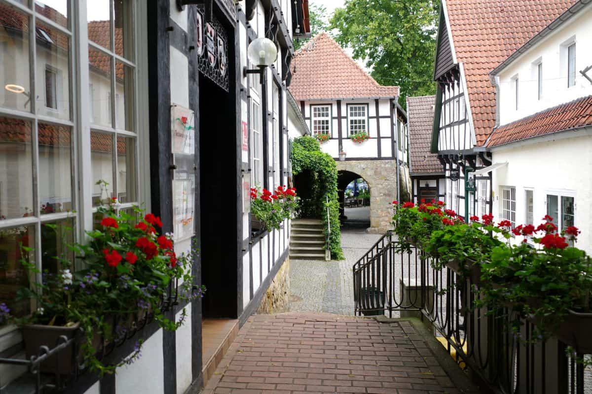 Blick auf eine malerische Gasse mit Fachwerkhäusern, blühenden Blumenkästen und einem einladenden Torbogen im Hintergrund.