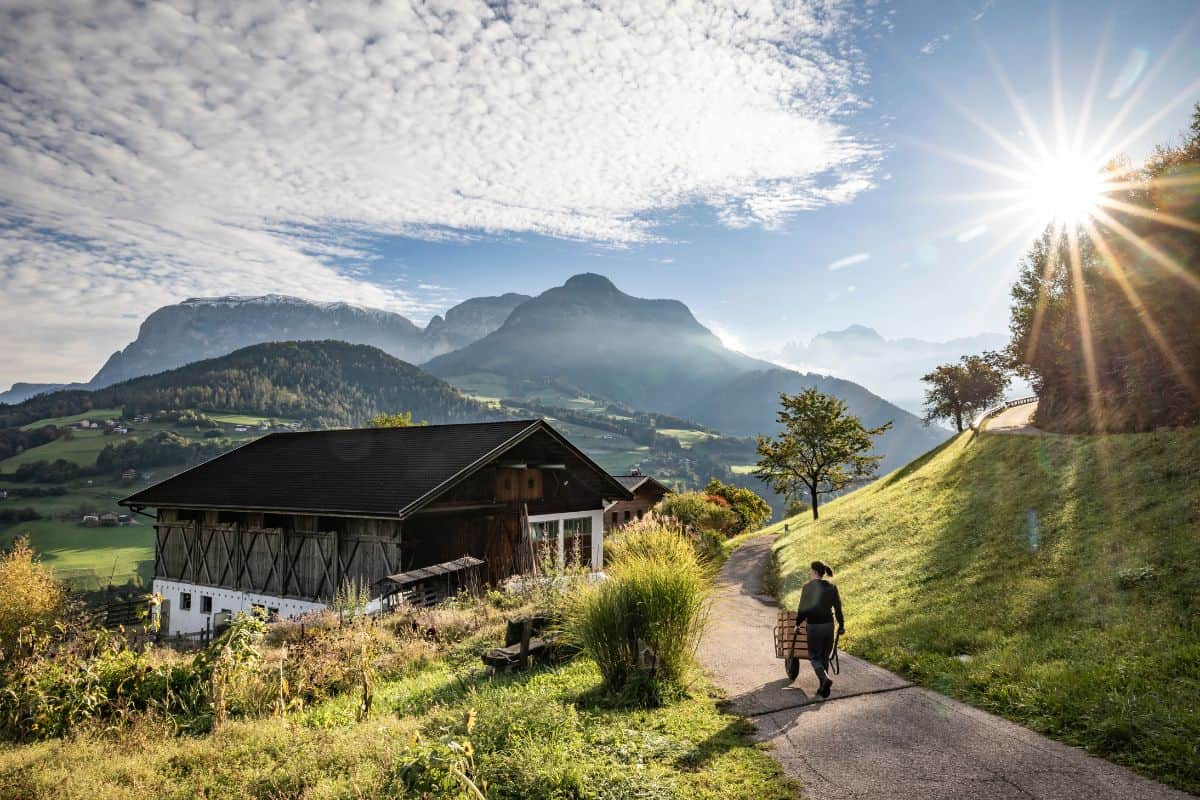 Ein Wanderer trägt einen Korb auf einem schmalen Weg, umgeben von grünen Wiesen und Bergen unter einem klaren Himmel mit Sonnenstrahlen.