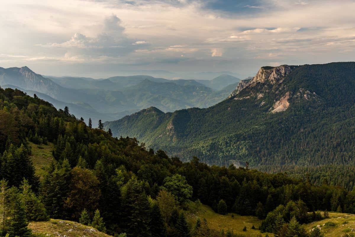 Blick auf eine bewaldete Berglandschaft mit sanften Hügeln und einer dramatischen Wolkenformation im Hintergrund.