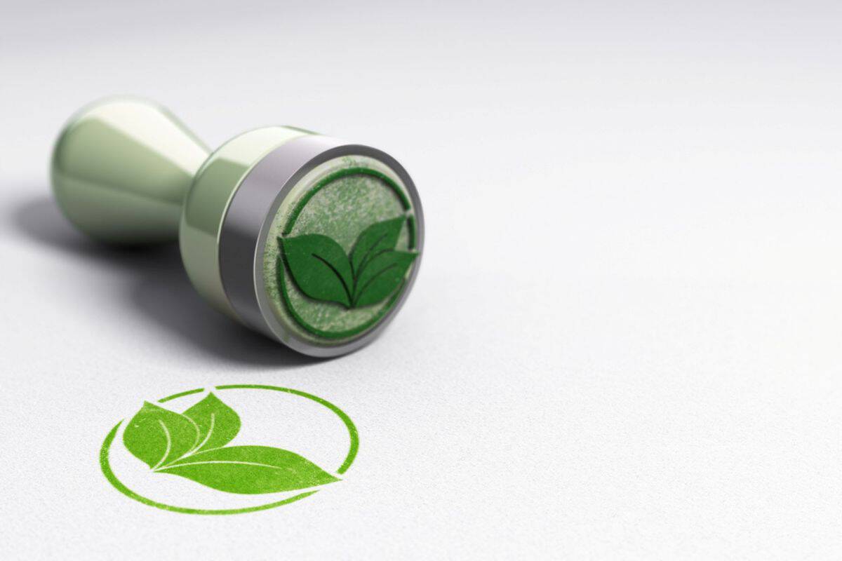 Ein grüner Stempel mit einem Blattmotiv auf weißem Papier, daneben der Abdruck des Stempels in grüner Farbe.