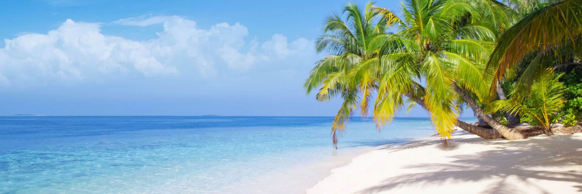 Ein tropischer Strand mit feinem, weißem Sand, umgeben von Palmen und klarem, blauem Wasser unter einem strahlend blauen Himmel.