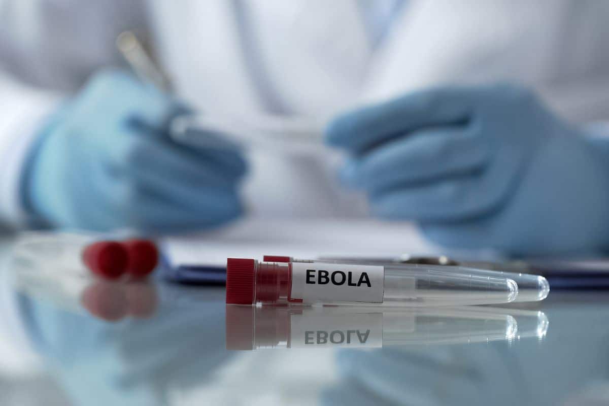 Ein Laboratoriumsarbeitsplatz mit einem Probenröhrchen, das mit 'Ebola' beschriftet ist, und einer Person mit blauen Handschuhen im Hintergrund.