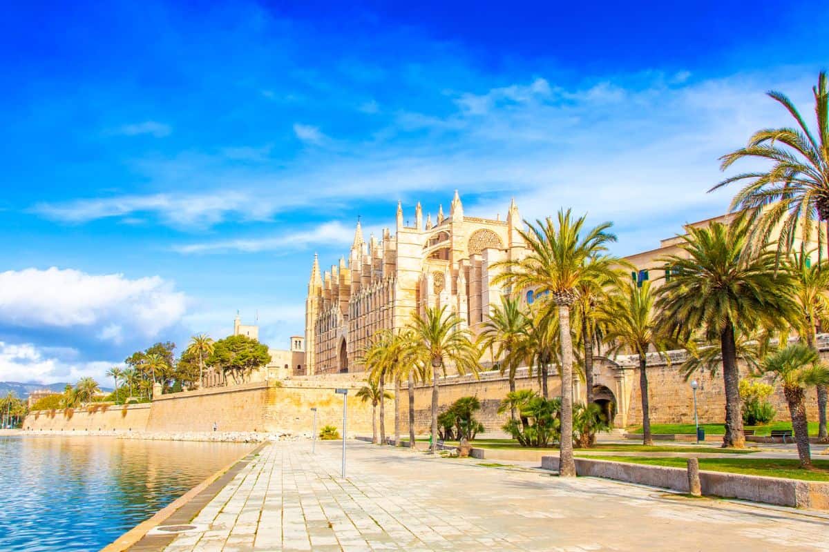 Blick auf die Kathedrale von Palma de Mallorca, umgeben von Palmen und Wasser, unter einem klaren blauen Himmel mit wenigen Wolken.