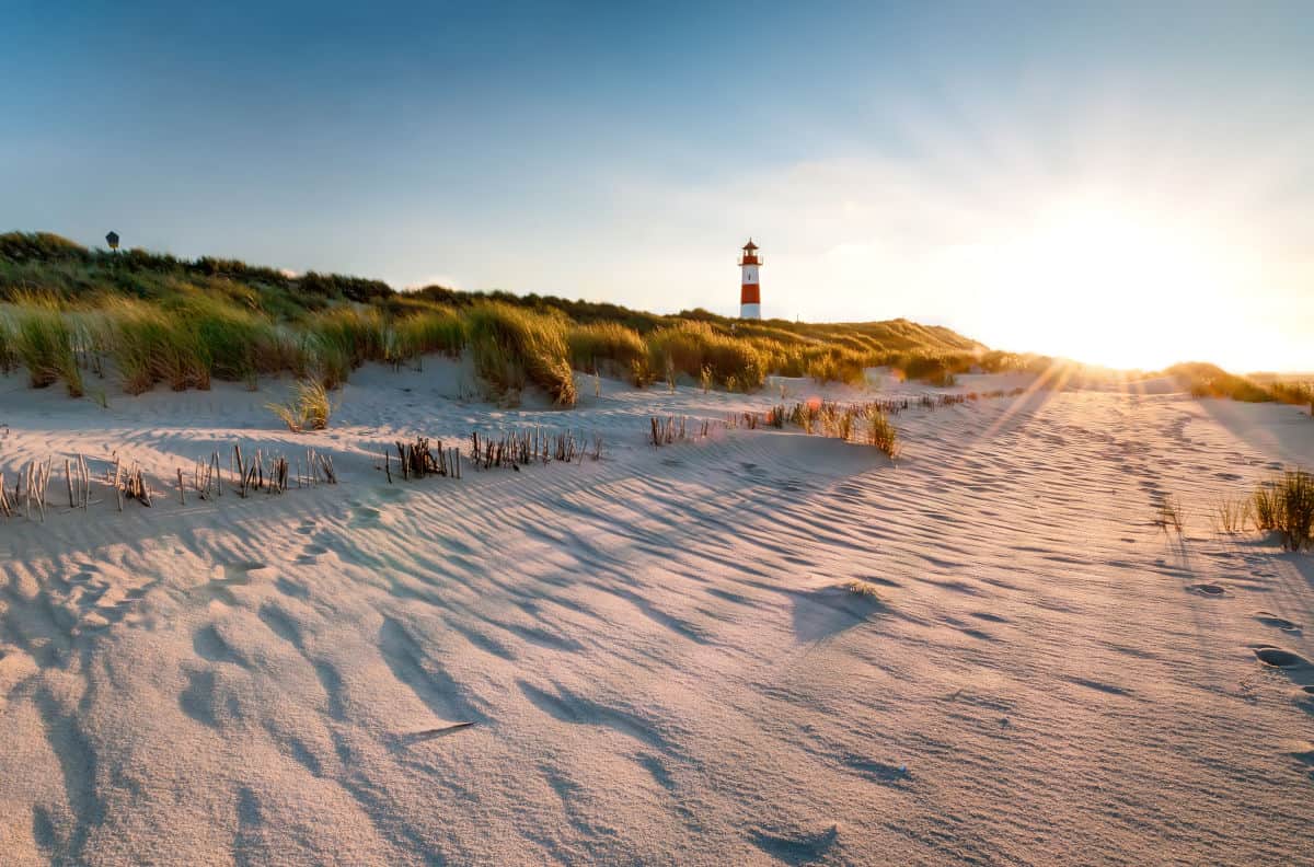 Ein Leuchtturm steht auf einer sandigen Küstenlandschaft, umgeben von Gras und Sträuchern, während die Sonne am Horizont aufgeht.