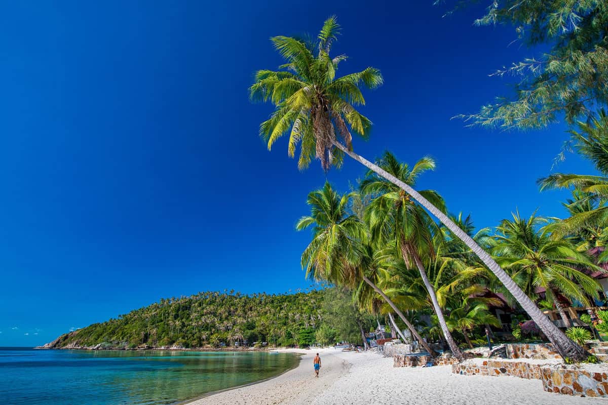 Ein sonniger Strand mit Palmen, sanften Wellen und klarem Himmel, der eine ruhige Küstenlandschaft zeigt.