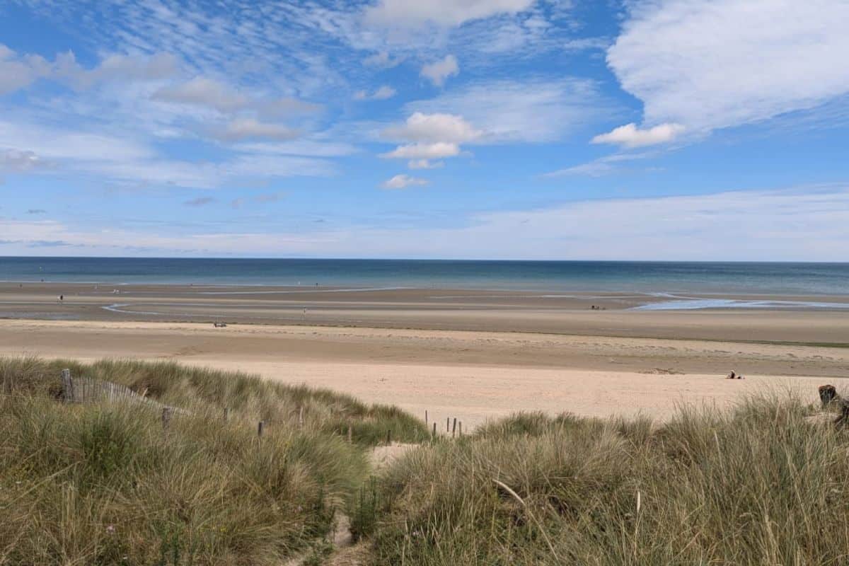 Blick von einer Düne mit Strandhafer auf einen weiten Sandstrand bei Ebbe, der sich bis zum Horizont unter einem blauen Himmel mit weißen Wolken erstreckt.