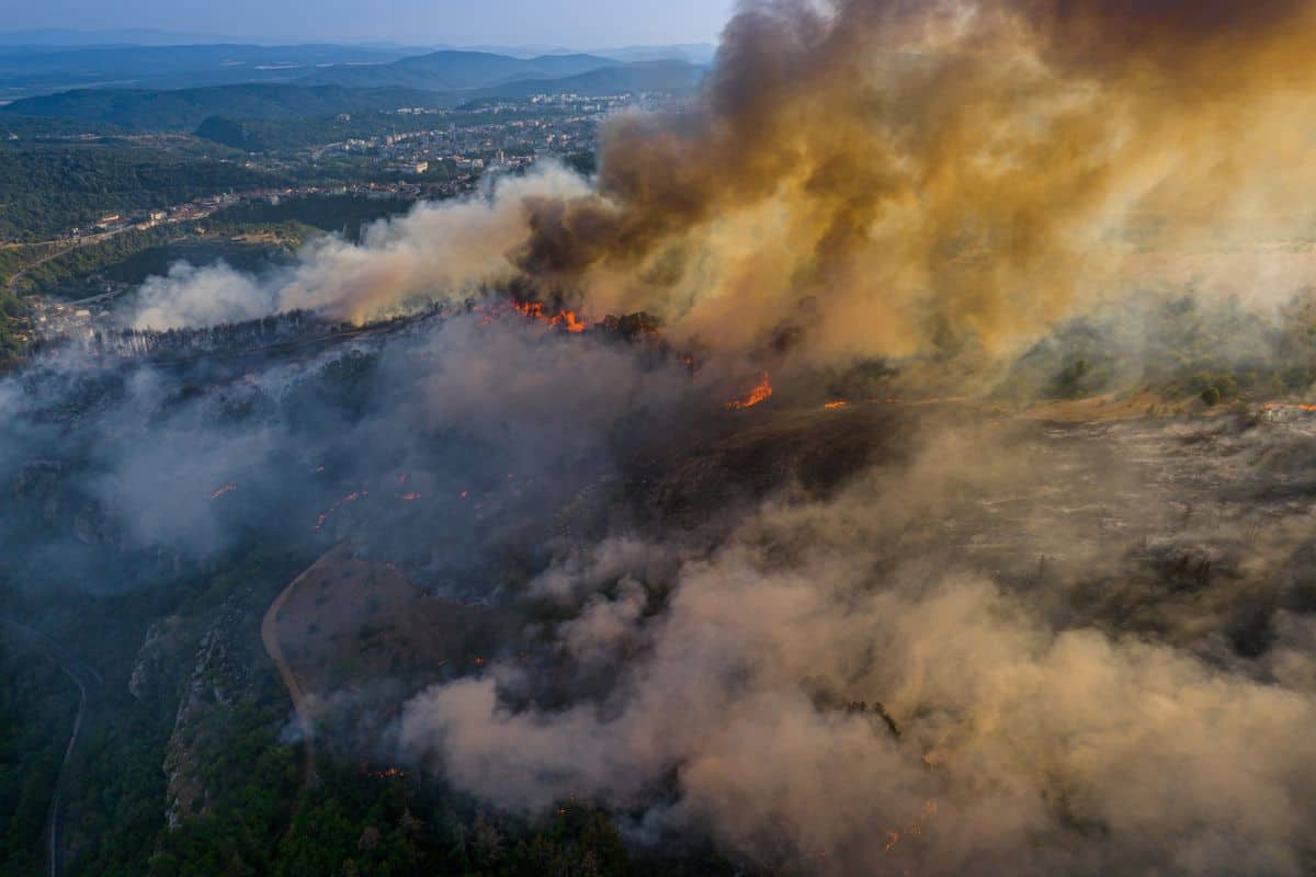 Luftaufnahme eines Waldbrandes an einem bewaldeten Hang, bei dem dichte Rauchwolken aufsteigen und Flammen in einer hügeligen Landschaft sichtbar sind.