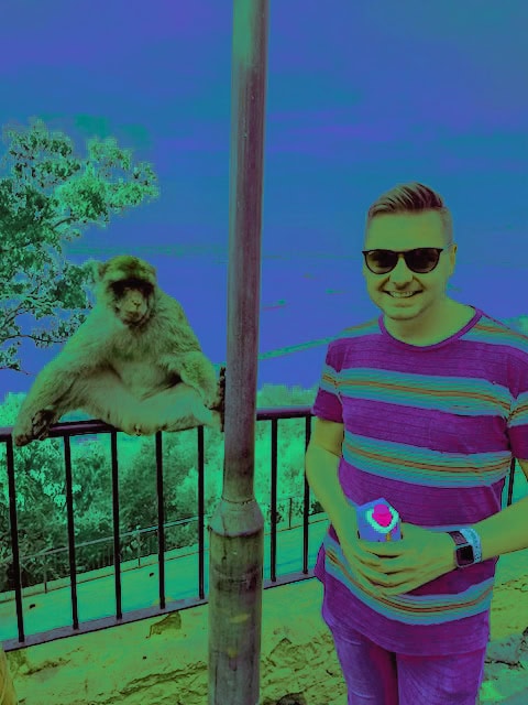 Ein Mann mit Sonnenbrille und gestreiftem T-Shirt steht neben einem auf einem Geländer sitzenden Berberaffen vor einer Bucht mit Schiffen im Hintergrund.