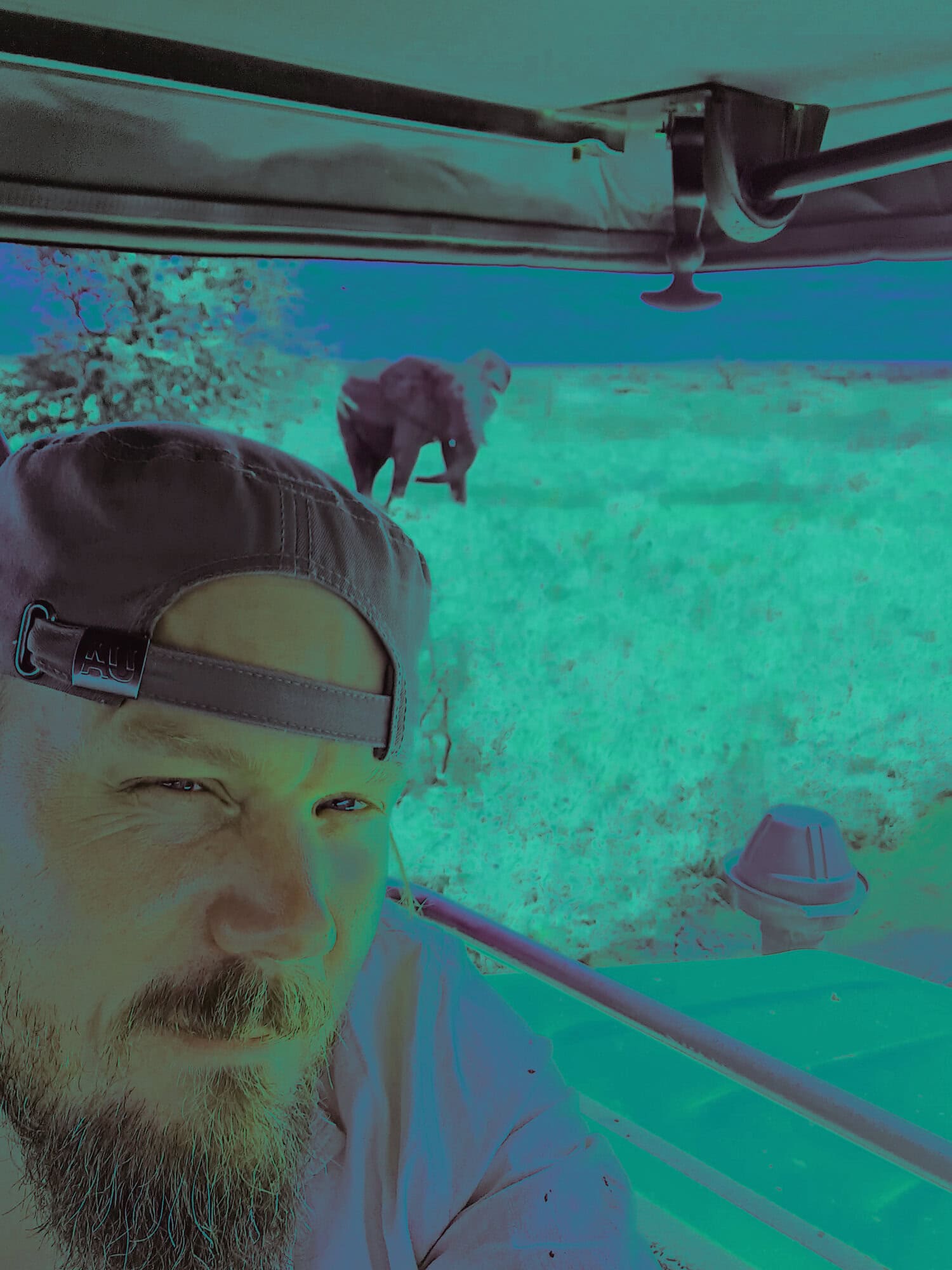 Ein Mann mit Bart und olivgrüner Kappe im Vordergrund, im Hintergrund ein Elefant in einer grünen Savannenlandschaft, aufgenommen aus einem Safari-Fahrzeug.