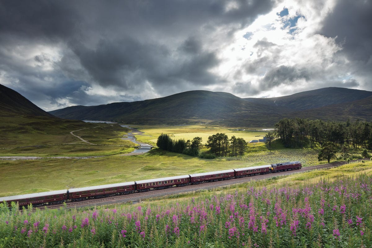 Ein dunkelroter Zug der Belmond Royal Scotsman fährt durch eine weite, hügelige schottische Landschaft mit violetten Blumen im Vordergrund unter Wolken.