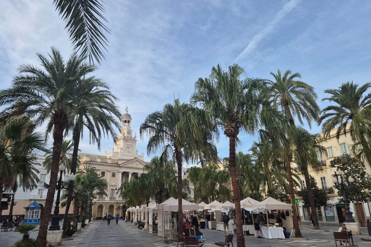 Ein sonniger Platz mit Palmen und einer Reihe weißer Marktstände vor einem historischen Gebäude mit Uhrturm unter einem hellblauen Himmel mit Wolken.