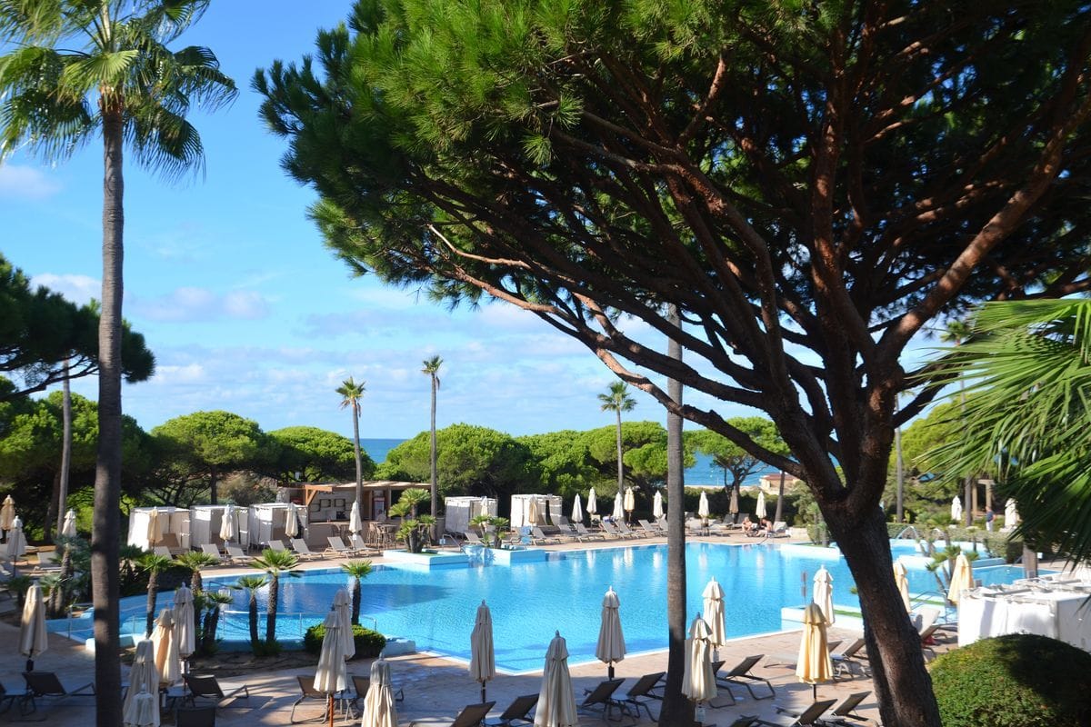 Ein großer, blauer Swimmingpool in einer Hotelanlage, umgeben von Pinienbäumen, zahlreichen weißen Sonnenschirmen und Liegestühlen bei strahlendem Sonnenschein.