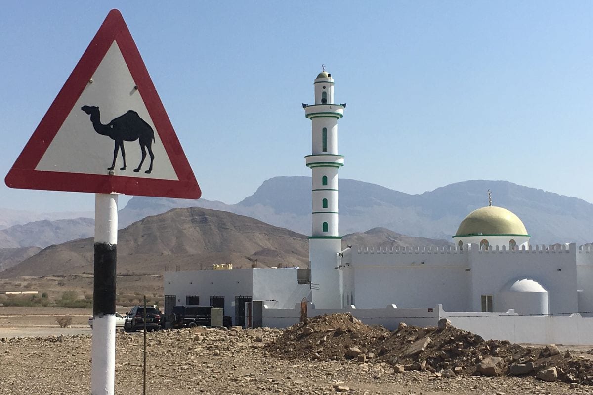 Ein dreieckiges Warnschild mit Kamelsymbol steht im Vordergrund vor einer weißen Moschee mit Minarett und goldener Kuppel in einer bergigen Wüstenlandschaft.