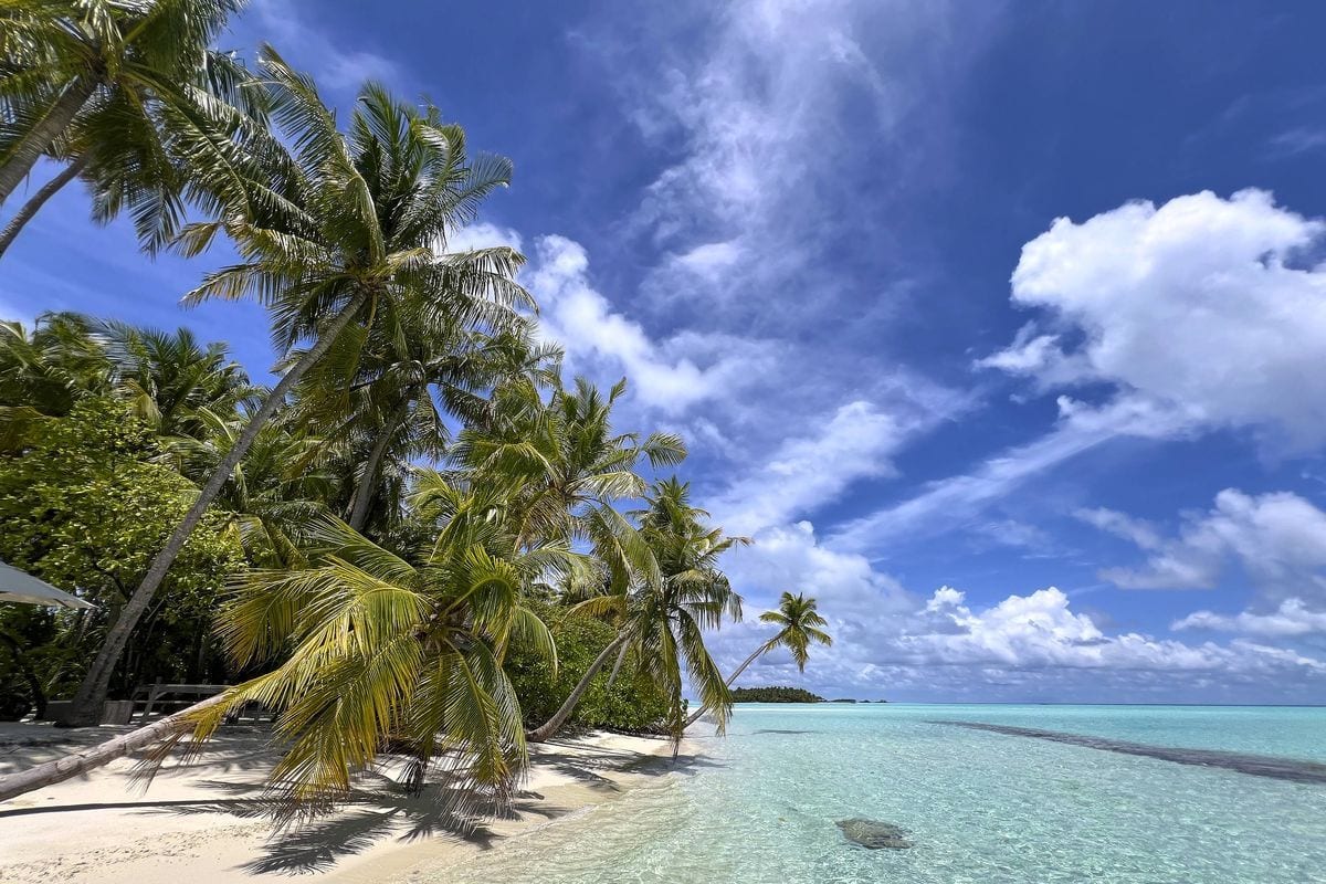 Blick auf einen weißen Sandstrand mit zahlreichen Palmen, die sich über das kristallklare, türkisfarbene Wasser unter einem blauen Himmel mit Wolken neigen.