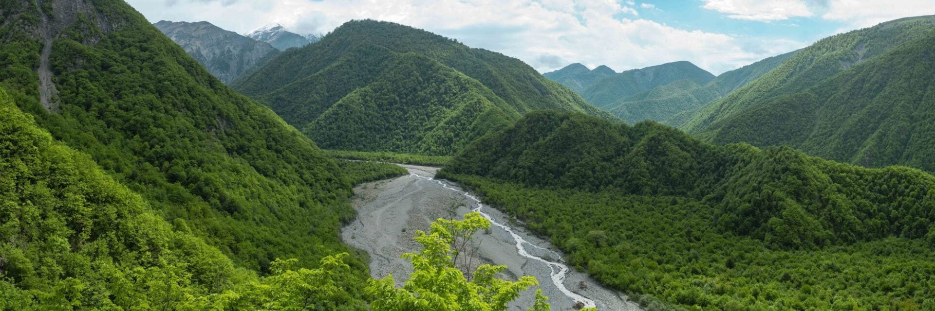 kaukasus Ein weites Panorama eines grünen Gebirgstals mit einem breiten, kiesigen Flussbett, das sich durch die bewaldeten Hänge unter einem bewölkten Himmel zieht.