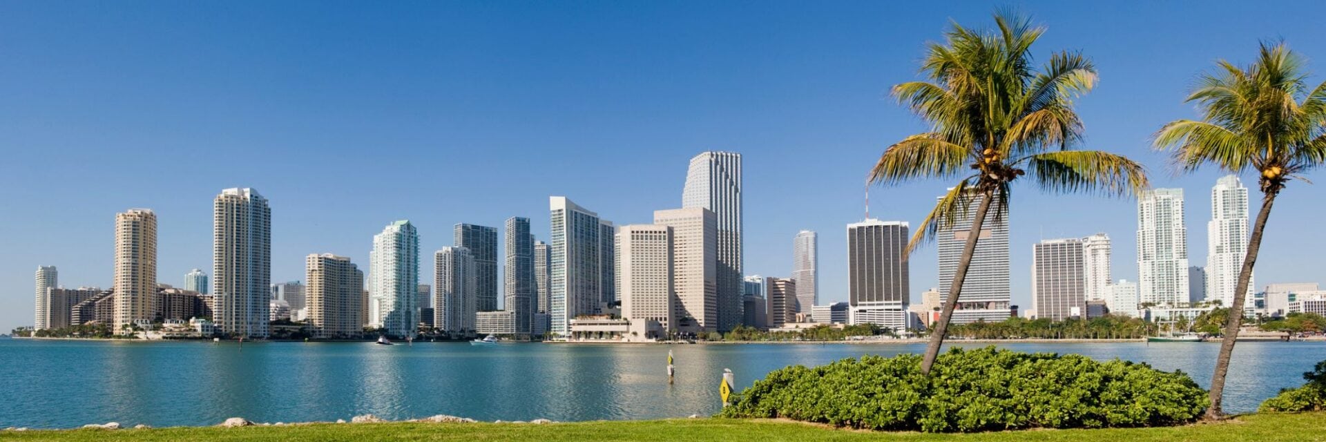 miami-skyline Panoramablick auf die Skyline von Miami mit zahlreichen Wolkenkratzern hinter einer Bucht, im Vordergrund stehen zwei Palmen auf einer grünen Uferwiese.