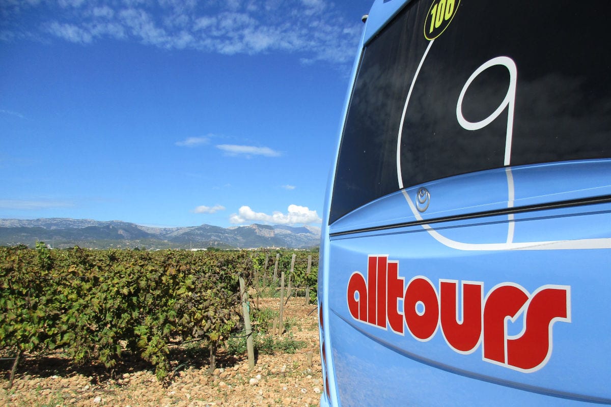 Nahaufnahme des Hecks eines hellblauen Reisebusses mit dem roten alltours-Logo vor einem weitläufigen Weinberg unter einem sonnigen, blauen Sommerhimmel.