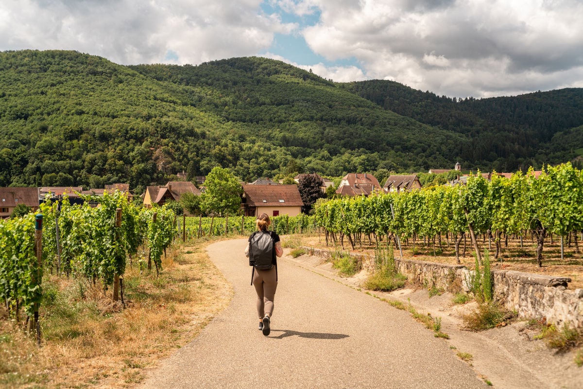 Eine Person mit Rucksack geht auf einem asphaltierten Weg zwischen grünen Weinreben in Richtung eines Dorfes vor einer bewaldeten Hügellandschaft entlang.